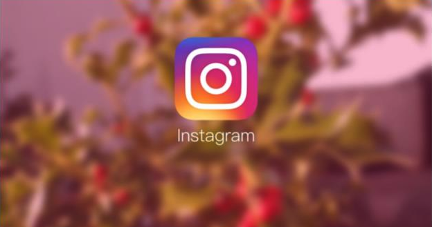 The Instagram icon on a blurred background of flowers, leaves, and stalks